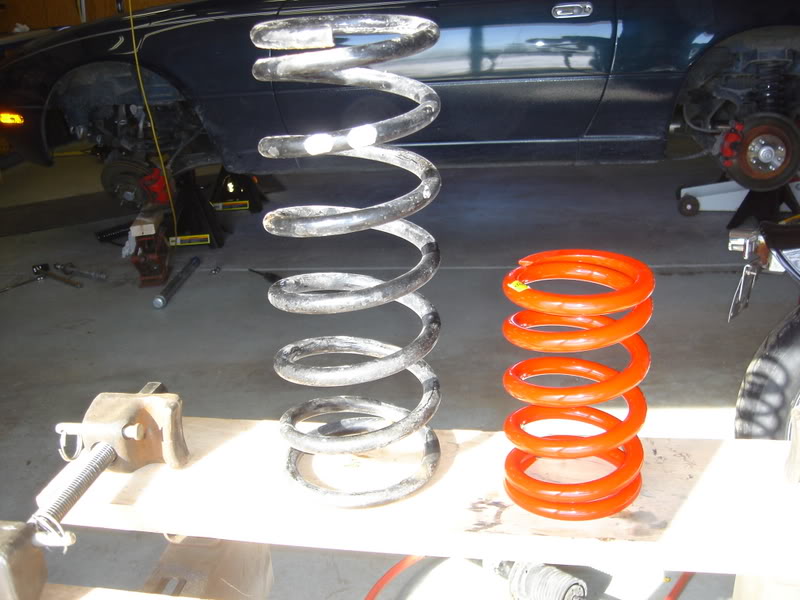 Name:  DSC02347.jpg
Views: 138
Size:  74.9 KB