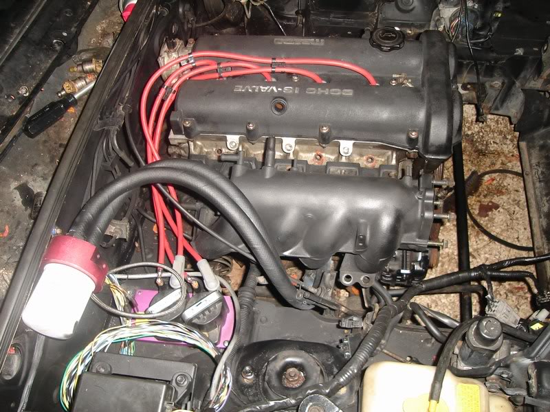 Name:  mini-DSC00329.jpg
Views: 109
Size:  119.1 KB