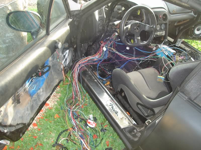 Name:  mini-DSC00321.jpg
Views: 104
Size:  110.8 KB