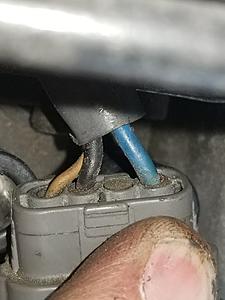 Can anyone post a pic of a 94-95.5 coil harness plug?-tach.jpg