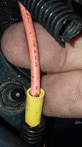 Alternator suddenly red hot?-20190709_182724.jpg