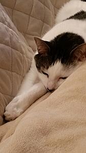 Heater Core Bling-20151117_224838.jpg