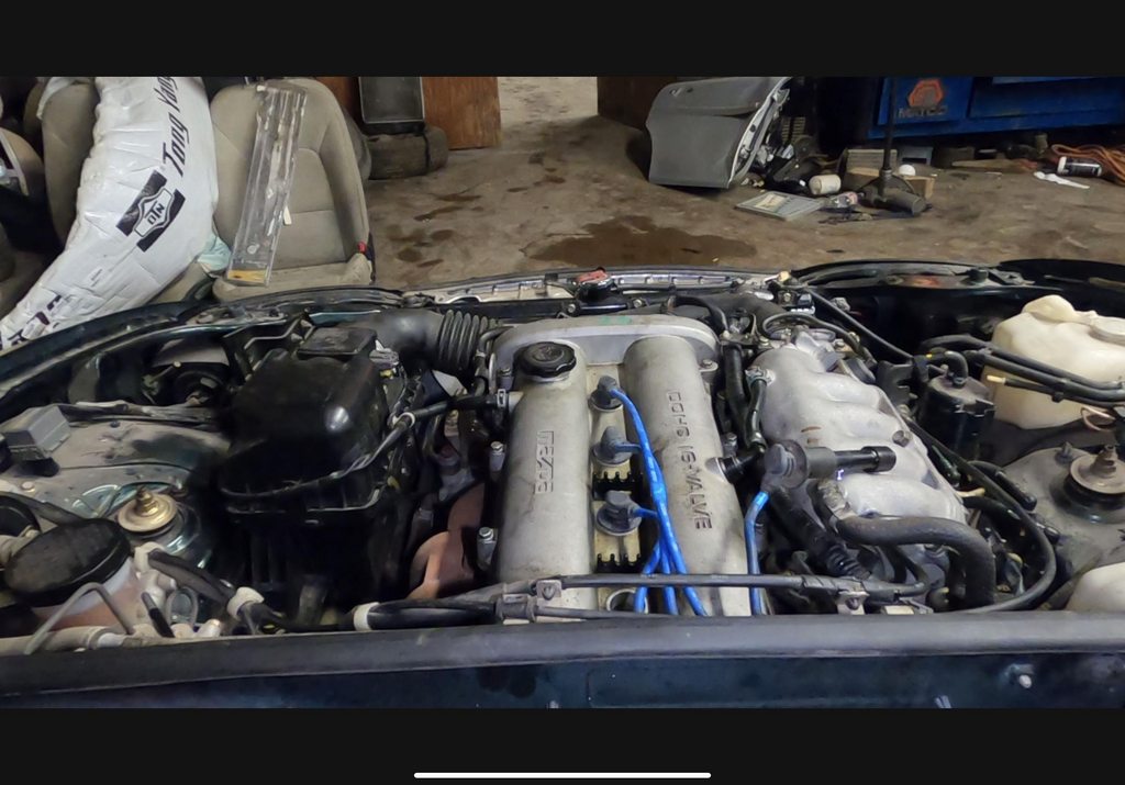 Name:  OArnopTh.jpg
Views: 24
Size:  113.2 KB