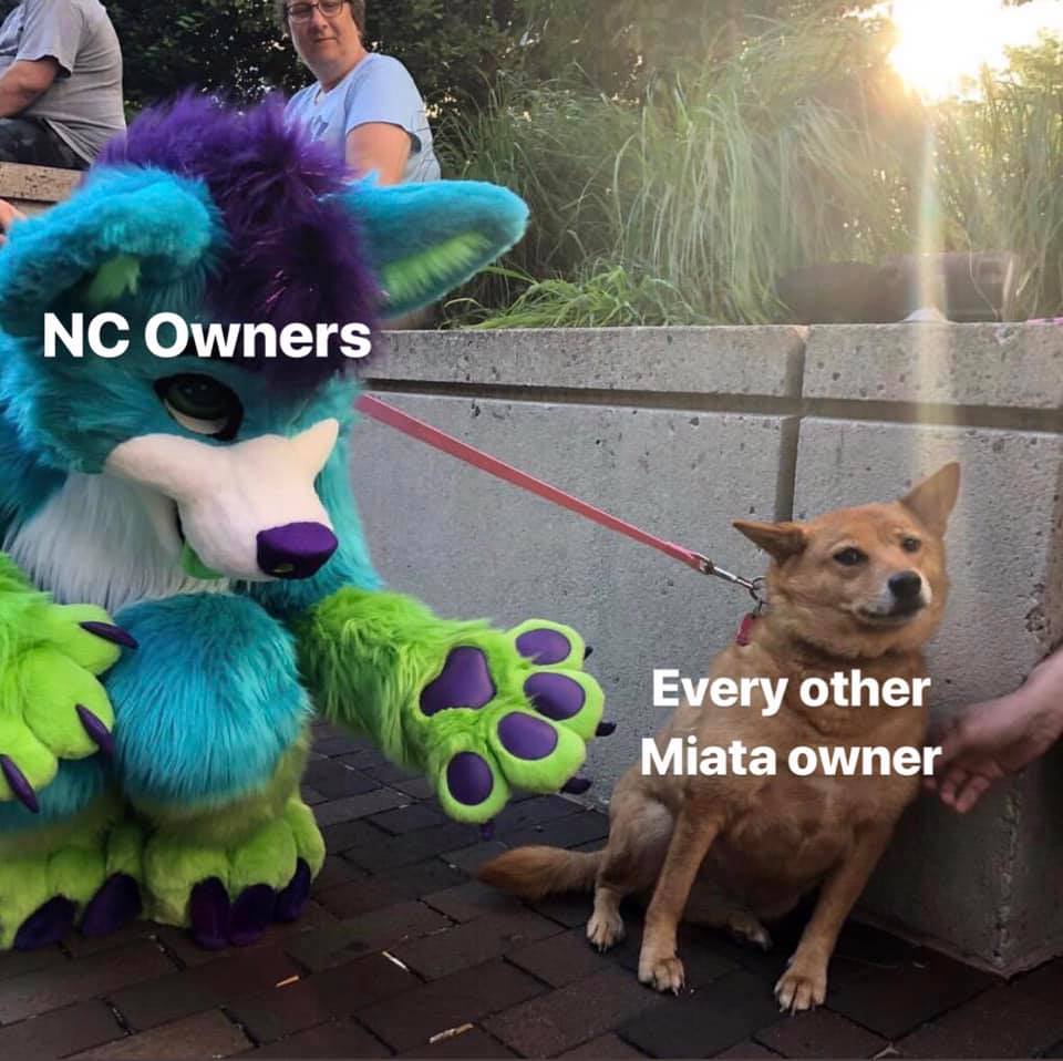 Name:  WK7246X.jpg
Views: 1303
Size:  96.3 KB