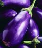 RB20 swap-eggplant.jpg