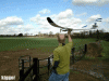 MTnet Builds Flying Machines: Failure Accomplished-vtajfmh.gif