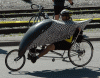 If FEMA had the bicycles, would it fund Hustler's manlet bib?-bikewithcover.gif