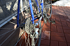If FEMA had the bicycles, would it fund Hustler's manlet bib?-dirtybike1_zps36c03468.png