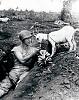 The AI-generated cat pictures thread-16-soldier-shares-banana-goat-during-battle-saipan-ca-1944.jpg