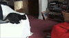 The AI-generated cat pictures thread-do-you-ever-just_c4200b_4822171.gif