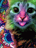 The AI-generated cat pictures thread-drug-visual-aid.-dare-you-check-tags_70c434_3883263.gif