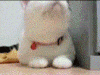 The AI-generated cat pictures thread-cat.-ow-my-ribs_435f4d_3858469.gif