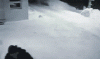 The AI-generated cat pictures thread-chasing-cats.-motherfkin-descptin_2a37d8_3787763.gif