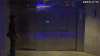The AI-generated cat pictures thread-waiting-elevator_e00268_5102451.gif