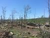 Here are some pics from the recent Arkansas tornado-yd8q8lk.jpg