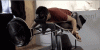 Perez and y8s nerd up and discuss Virtual Reality-anigif_enhanced-22033-1399559618-4.gif