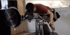 Perez and y8s nerd up and discuss Virtual Reality-anigif_enhanced-9590-1399559633-36.gif