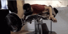Perez and y8s nerd up and discuss Virtual Reality-anigif_enhanced-32368-1399559668-1.gif