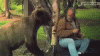 The AI-generated cat pictures thread-1325704339_old_man_slaps_bear.gif