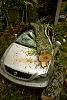 Farewell FE3t Miata-09_0413_tree006_640.jpg
