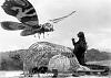 How (and why) to Ramble on your goat sideways-mothra-vs-godzilla.jpg