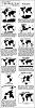 The AI-generated cat pictures thread-map_projections.jpg