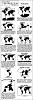 The AI-generated cat pictures thread-map_projections.jpg