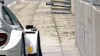 The AI-generated cat pictures thread-dtm-gif-53bbce7846e95.gif