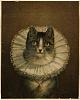 The AI-generated cat pictures thread-800px-the_widow_%2528boston_public_library%2529.jpg
