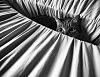 The AI-generated cat pictures thread-cat-black-white-photography-39.jpg