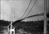 The AI-generated cat pictures thread-image-tacoma_narrows_bridge1.gif
