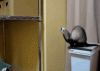 The AI-generated cat pictures thread-8876_zpsad3c2029.gif