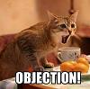 Armchair Lawyers, UNITE!-objectioncat_zpsbdf0d59c.jpg
