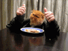 The AI-generated cat pictures thread-thumbs-up.gif