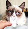 The AI-generated cat pictures thread-post-10220-smiling-grumpy-cat-o0aj.jpeg