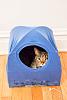 The AI-generated cat pictures thread-diy-cat-tent-bed-9.jpg