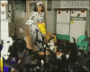 How (and why) to Ramble on your goat sideways-original.gif