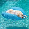 The AI-generated cat pictures thread-pet-pool-floats.jpg