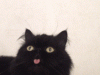 The AI-generated cat pictures thread-80-odtyjhv_a0f8a9267991239cf65170af5f5fadb26d18aeda.gif