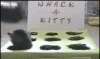 The kitten &amp; cat thread-80-giphy_fe2417573cacb40a7bb07045552c7d0d8196cc1e.gif