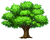VW is responsible for rolling global coal warming?-oack_tree_png_clipart_picture.png