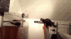 The kitten &amp; cat thread-80-catbowl_c4a78ce4dc8aa989794aab82a9241daa761664ed.gif