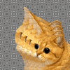 The AI-generated cat pictures thread-giphy.gif