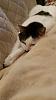 The kitten &amp; cat thread-20151117_224851.jpg