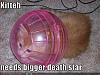 The AI-generated cat pictures thread-funny-pictures-kitten-needs-bigger-death-star.jpg