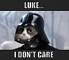The AI-generated cat pictures thread-caturday-star-wars-darth-vader-lolcats.jpg