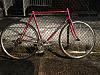 If FEMA had the bicycles, would it fund Hustler's manlet bib?-beater-bike.jpg