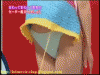 The AI-generated cat pictures thread-80-these_japanese_game_shows_are_oddly_sexual_gifs_131_bbf766ea7bd52e4ad0d0ff37be679d4cc2180c33.gif