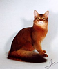 The AI-generated cat pictures thread-80-blob_a3831939a3dd8ffd90a3119a20b2c19659714917.png