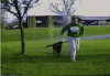 The AI-generated cat pictures thread-vmfussixt8ayusvhrnr0_dog-hose.gif